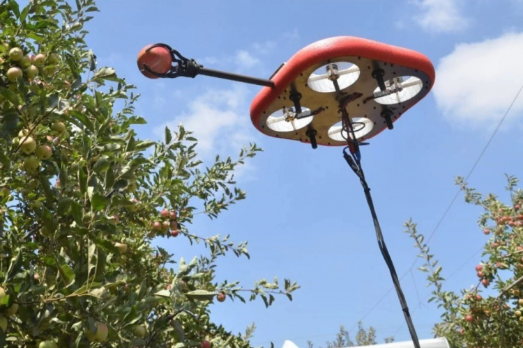 Израильская Tevel Aerobotics разработала автономные дроны для сбора садовых фруктов
