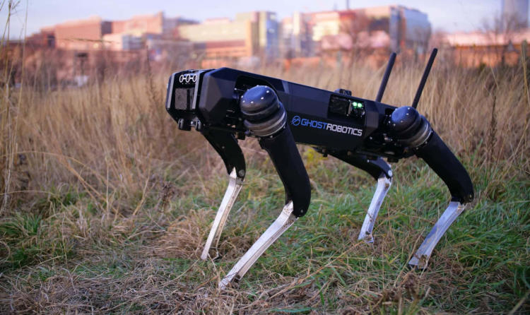 Роботы-собаки начнут патрулировать южную границу США