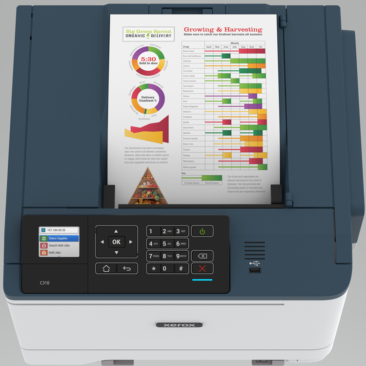 Цветной принтер Xerox C310 с функцией двусторонней печати подойдёт для дома и офиса