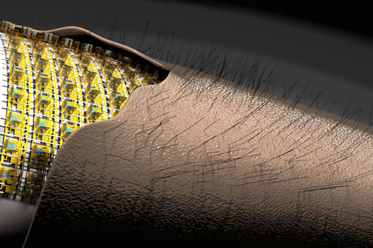 Немецкие учёные создали электронную «кожу» — она воспринимает касания почти как настоящая