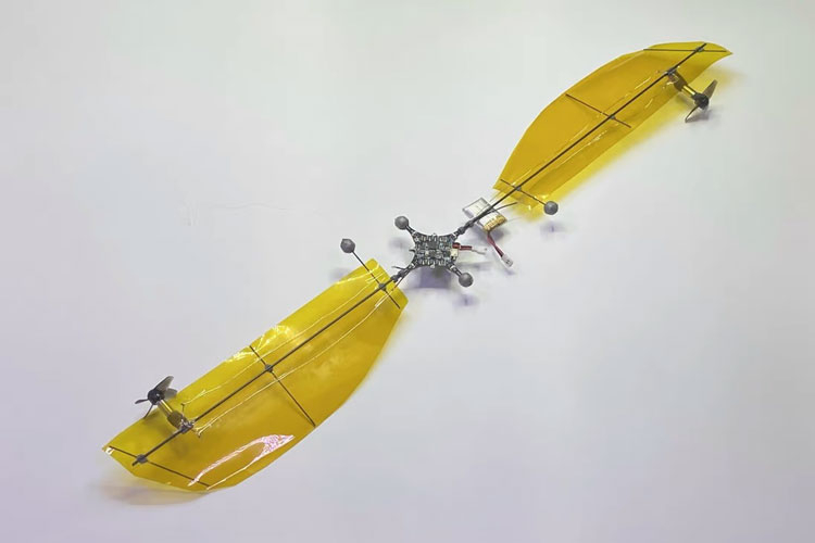 Семена клёна помогли китайцам удвоить время полёта сверхлёгких дронов