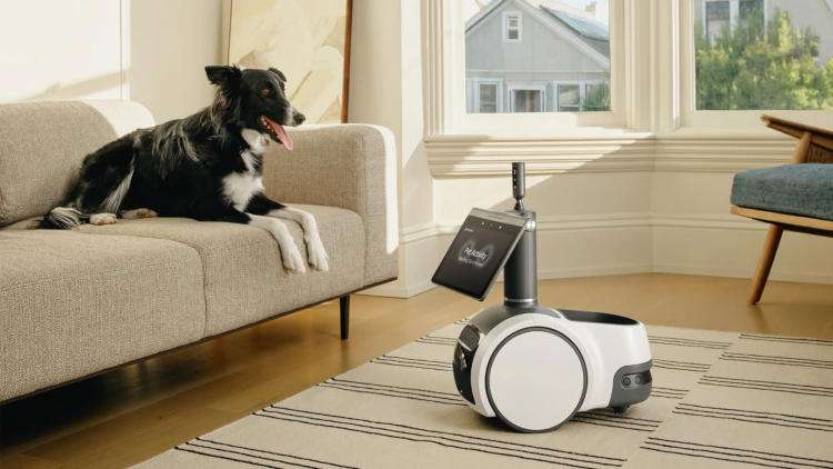 Домашнего робота Amazon Astro научили обнаруживать котов и собак, следить за безопасностью и открыли для сторонних приложений