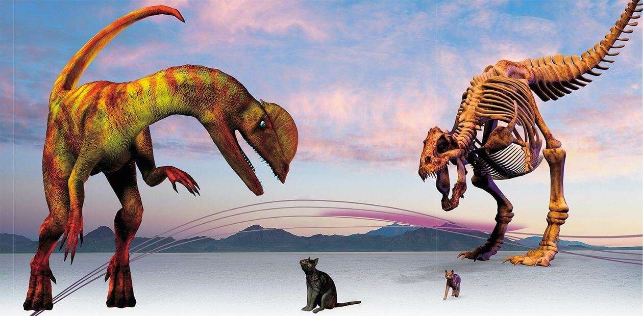 Почему млекопитающие пережили падение астероида, а динозавры вымерли. Млекопитающие были подготовлены к неблагоприятным условиям гораздо лучше, чем динозавры. Фото.