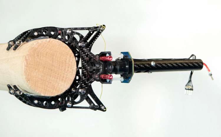 Разработана «куриная ножка» для посадки дронов на ветки и конструкции