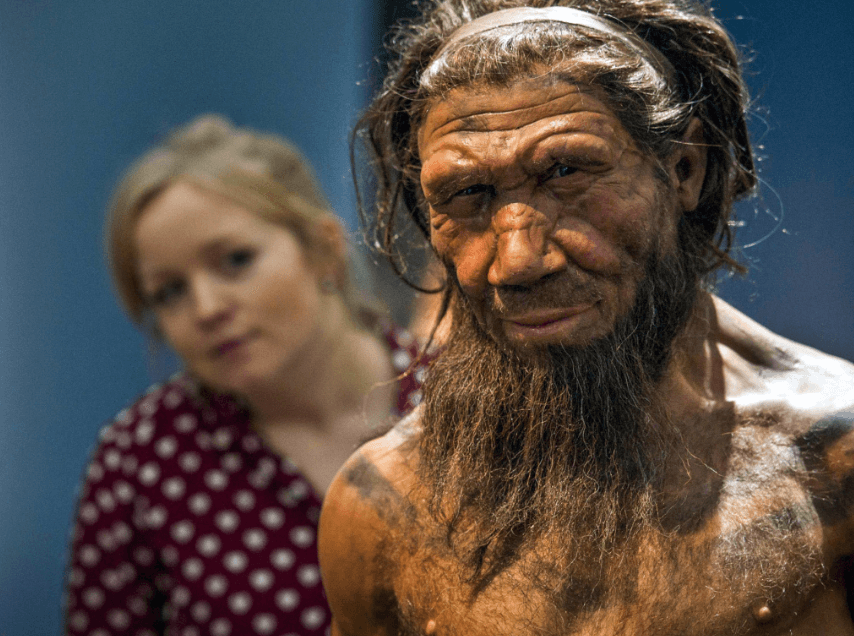 Неандертальцы могли быть гораздо умнее, чем мы предполагаем. Неандертальцы по когнитивным способностям, возможно, не уступали Homo Sapiens. Фото.
