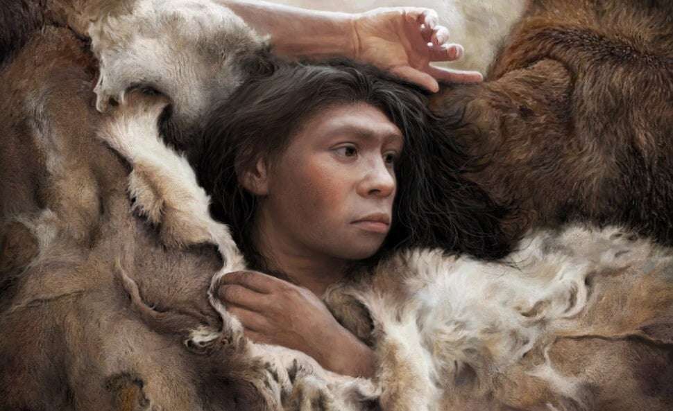 Порезы на костях показали, во что одевались древние люди 320 000 лет назад. Судя по находкам ученых, древние люди шили одежду из медвежьих шкур. Фото.