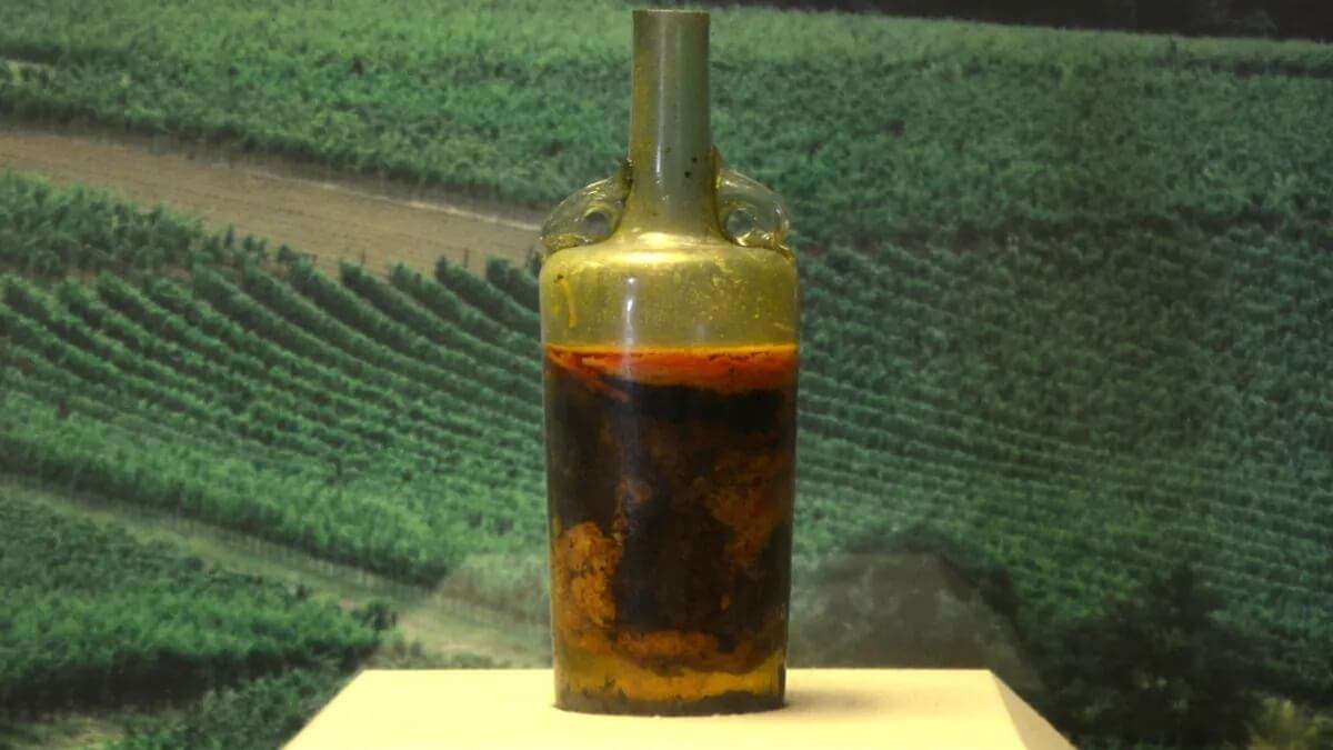 Самое старое вино возрастом 1700 лет может быть пригодно для питья. Бутылка с самым старым вином в мире хранится в Историческом музее Пфальца в Шпейере (Германия). Фото.