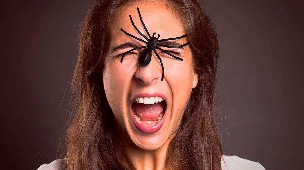 Ученые объяснили, почему люди не должны бояться пауков. Ученые уверены, что страх людей перед пауками неоправдан. Фото.