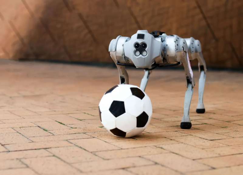 Инженеры из MIT научили робособаку DribbleBot играть в футбол на траве, песке и в грязи