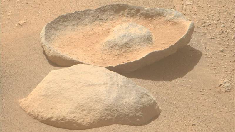 Perseverance нашёл на Марсе пару камней, похожих на разрезанный авокадо