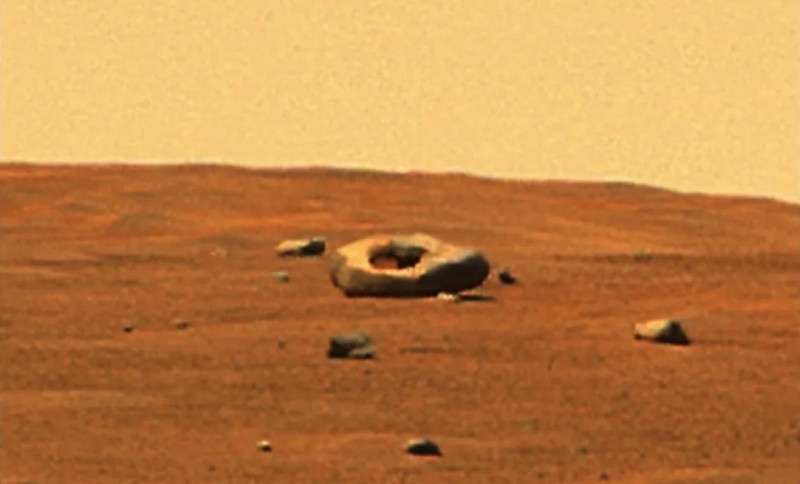 Perseverance нашёл на Марсе пару камней, похожих на разрезанный авокадо